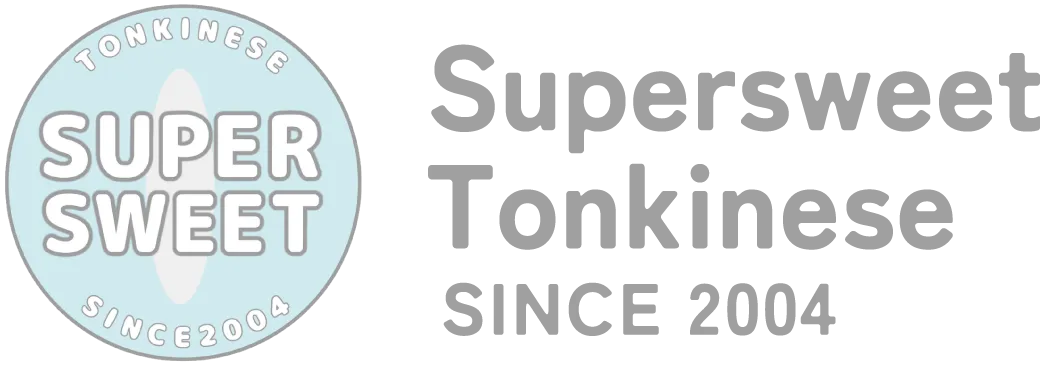 SUPERSWEET TONKINESE トンキニーズ専門キャッテリー 埼玉県草加市